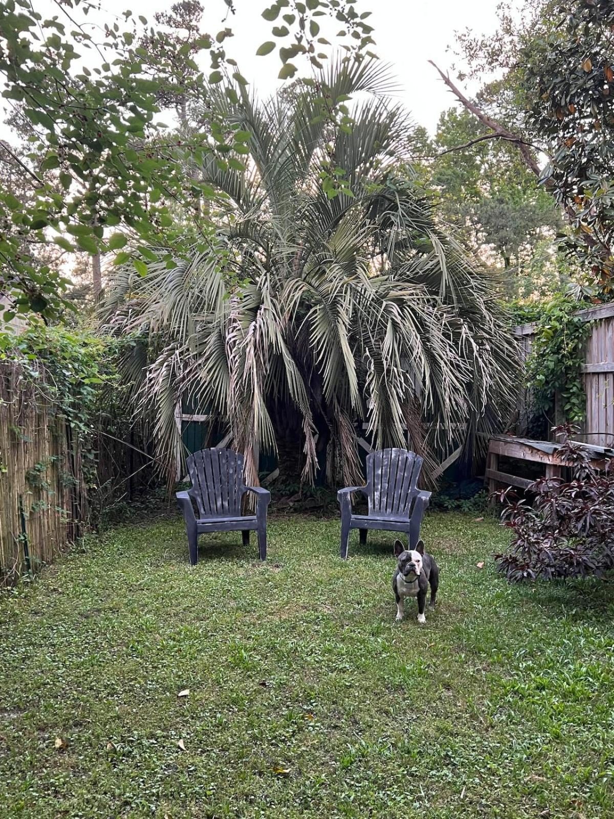 The Casita Serenely Welcomes Guests All Year Round Wilmington Exterior photo